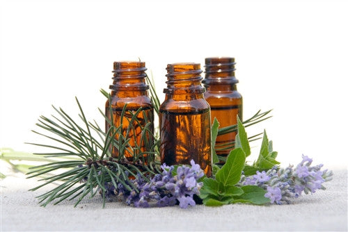 Peppermint Essential Oil Em'z Blendz Soap Co.
