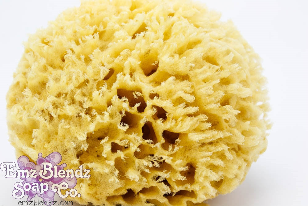 Sea Wool Sponge | Natural & Sustainable Luxury    Em'z Blendz Soap Co.
