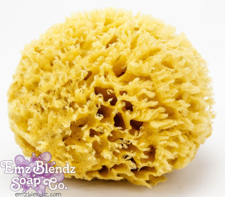 Sea Wool Sponge | Natural & Sustainable Luxury    Em'z Blendz Soap Co.