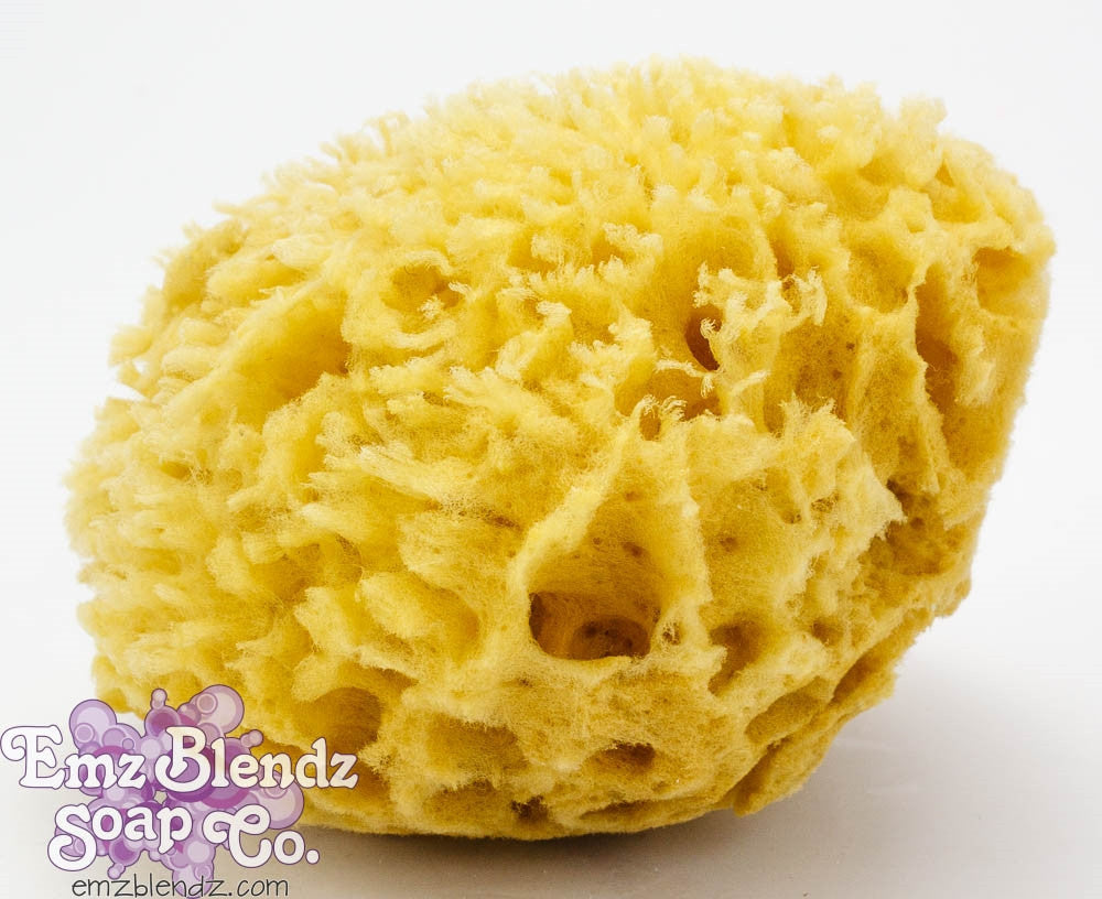 Sea Wool Sponge | Natural & Sustainable Luxury    Em'z Blendz Soap Co.
