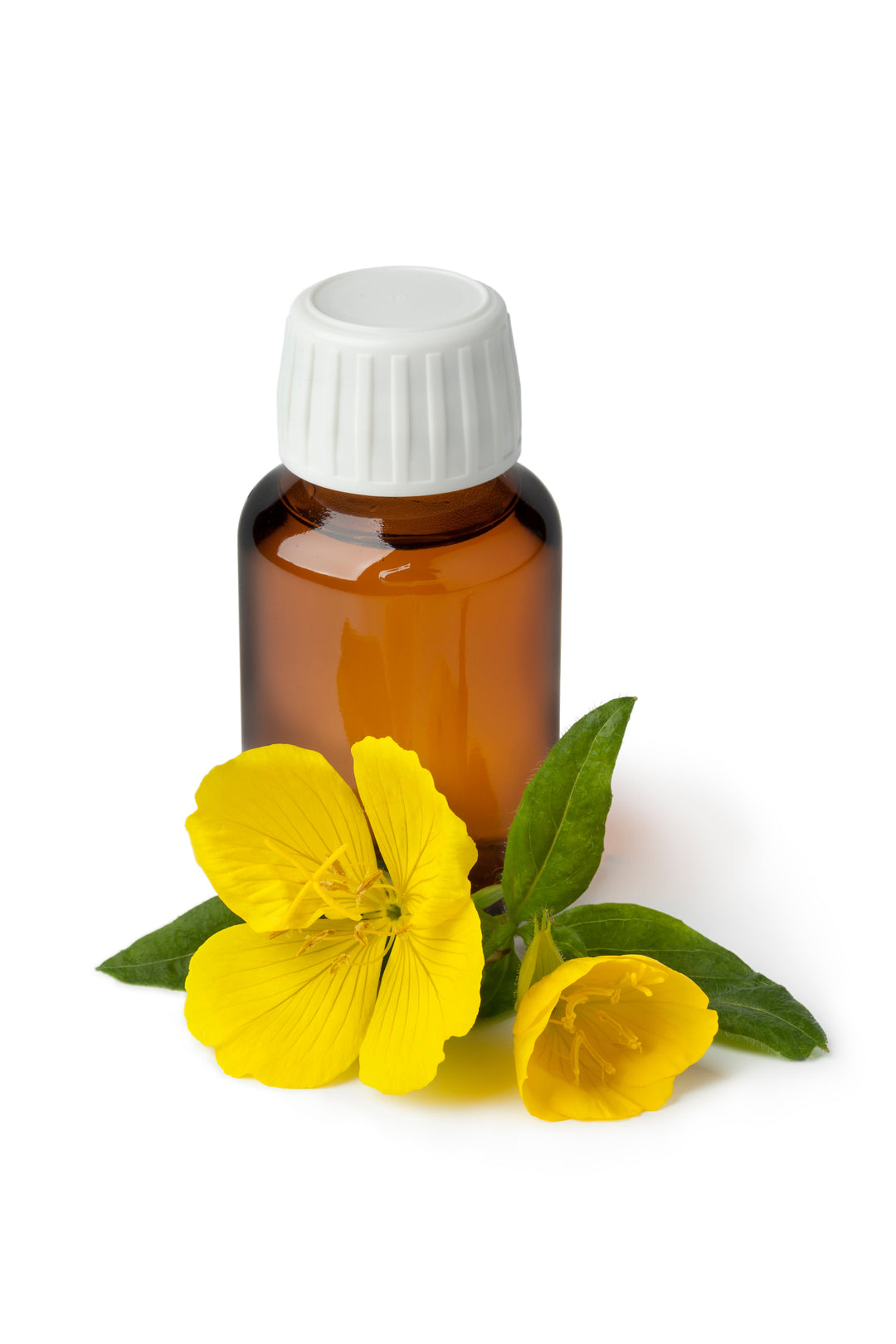 Organic Evening Primrose Oil