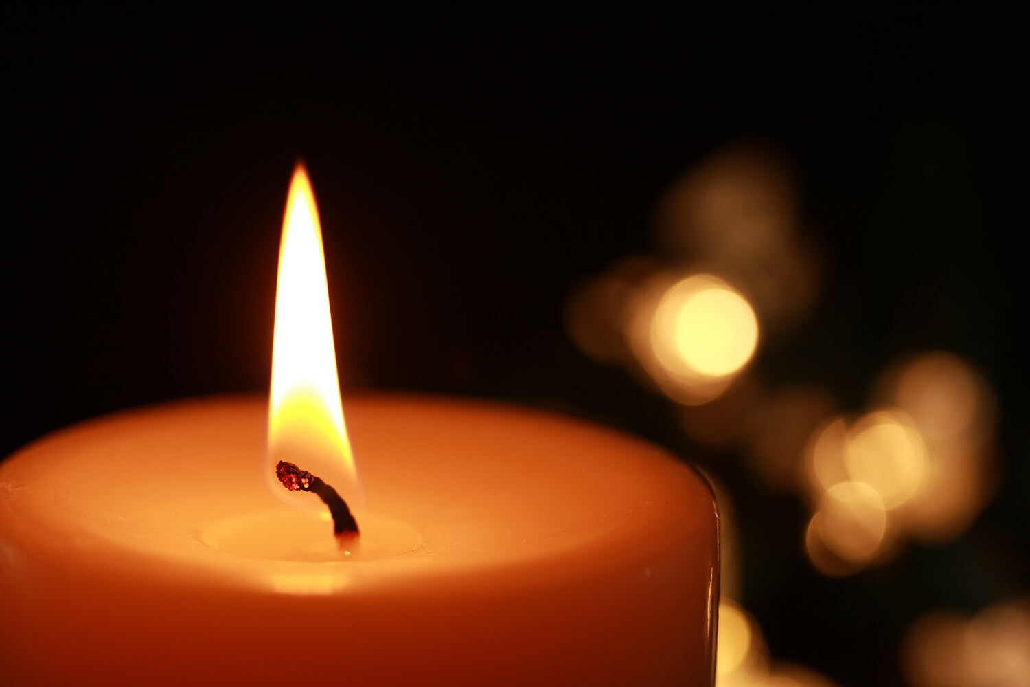 100% Pure Soy/Coconut Wax Candles