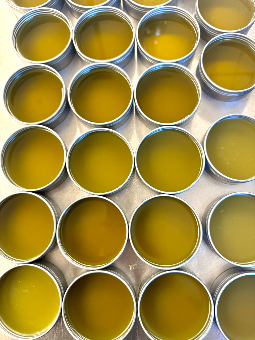 Nose to Toe-Beans™ | Nourishing + Protective Dog Balm