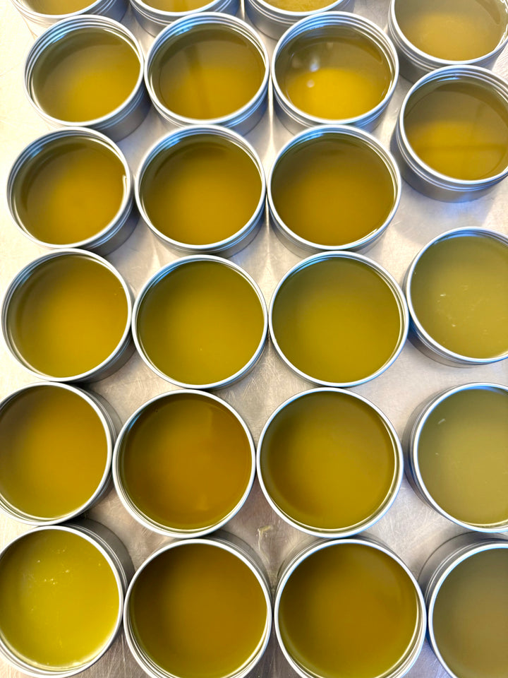 Nose to Toe-Beans™ | Nourishing + Protective Dog Balm