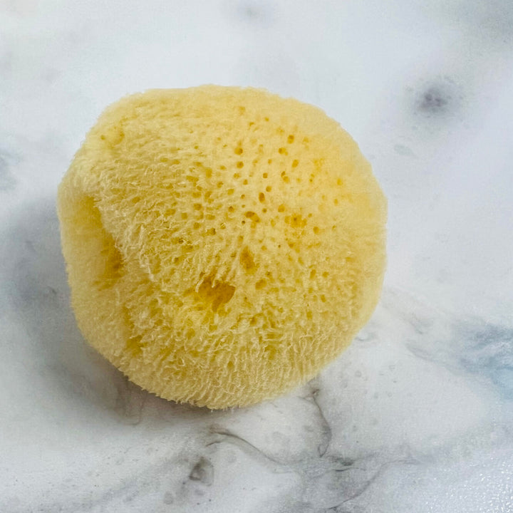 Silk Cosmetic Sea Sponge | Natural & Sustainable Luxury    Em'z Blendz Soap Co.