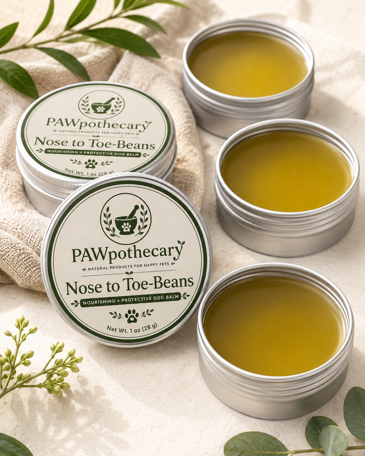 Nose to Toe-Beans™ | Nourishing + Protective Dog Balm
