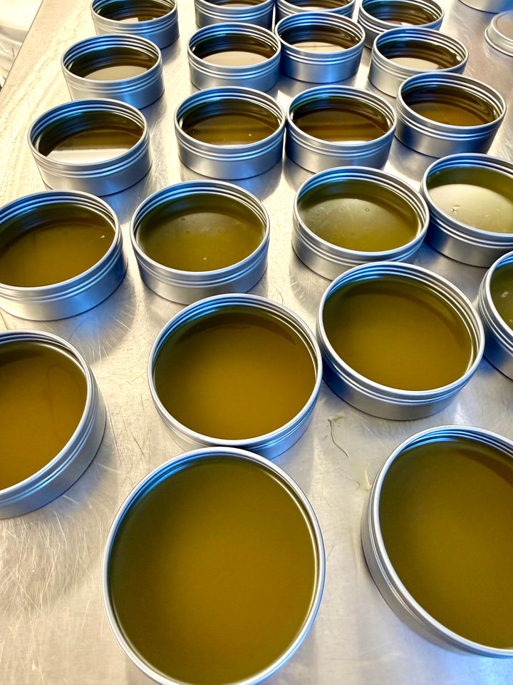 Nose to Toe-Beans™ | Nourishing + Protective Dog Balm