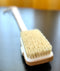 Wooden Back Brush