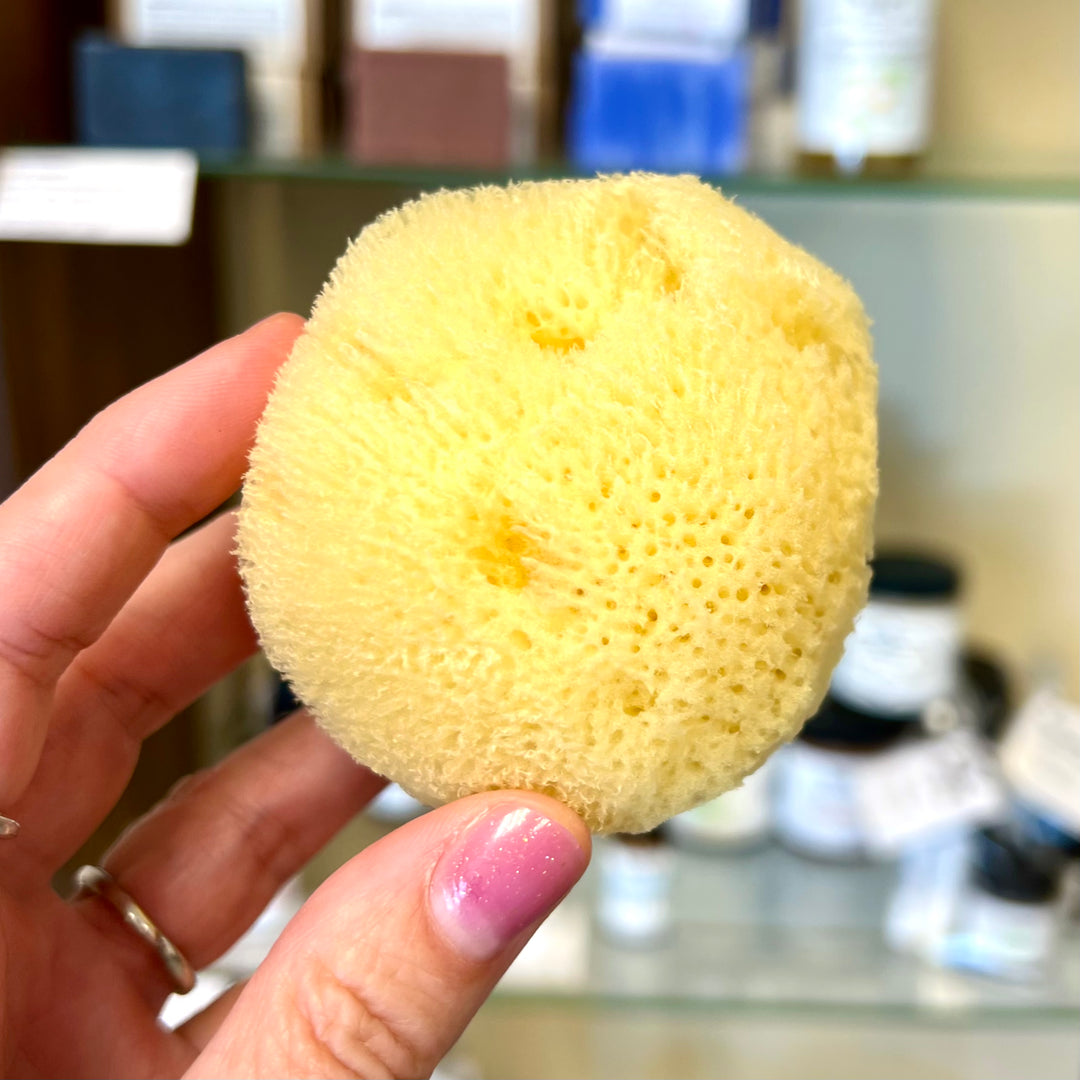 Silk Cosmetic Sea Sponge | Natural & Sustainable Luxury    Em'z Blendz Soap Co.