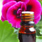 Geranium Essential Oil | 10ml Pure Pelargonium Graveolens
