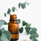 Eucalyptus Essential Oil