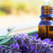 Lavender Essential Oil | 10ml Pure Lavandula Angustifolia