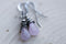 Em'z Blendz Rose Quartz & Sterling Silver Earrings | Handcrafted Jewelry